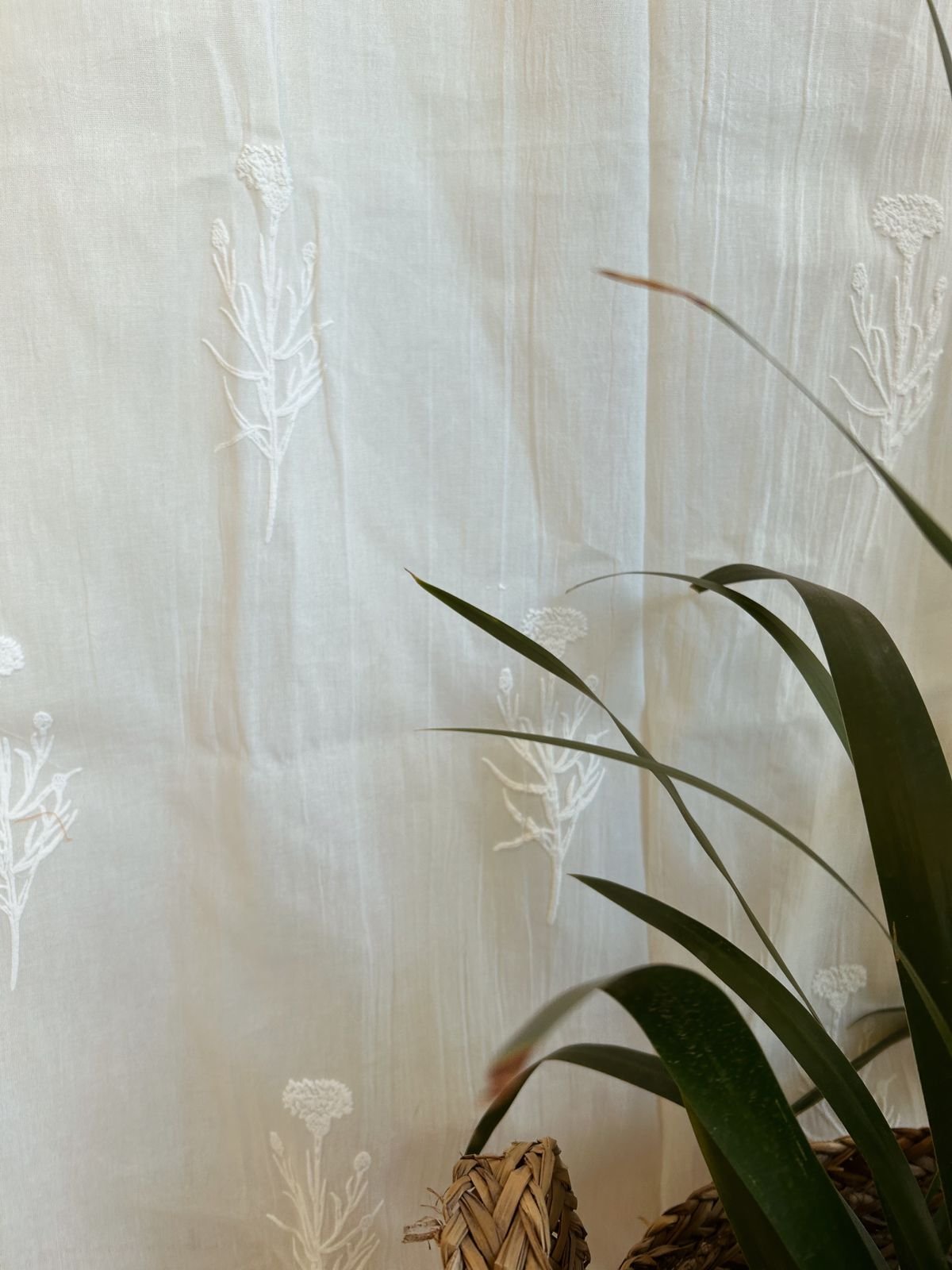 Cortina "Aurelia" - Imagen 4